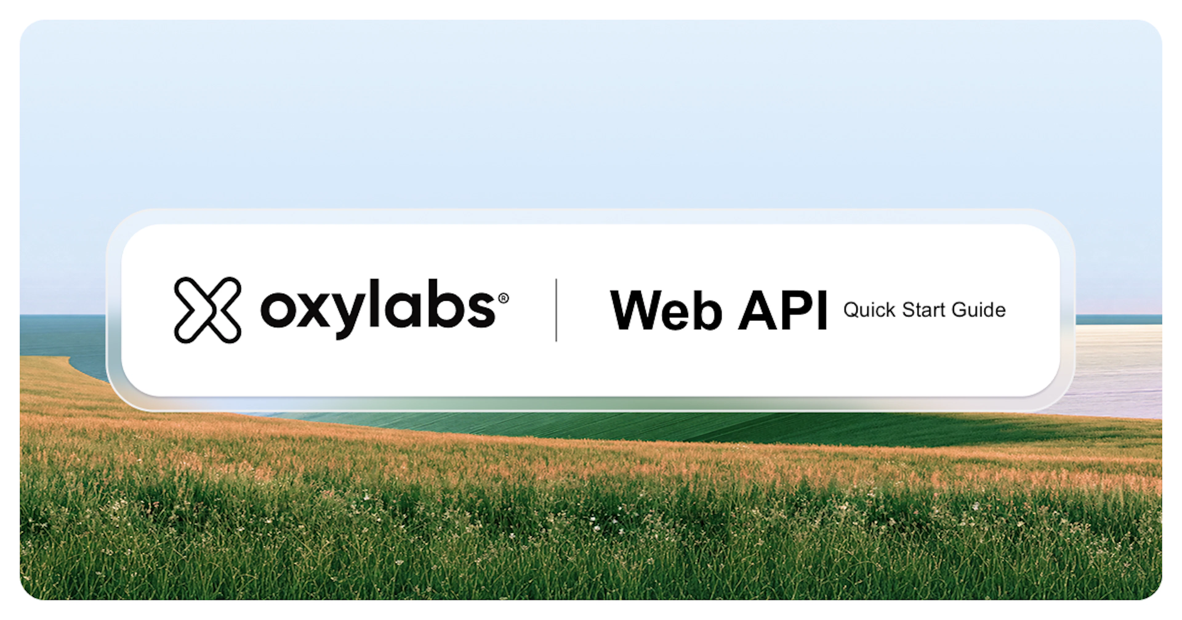 Oxylabs Web API Quick Start Guide