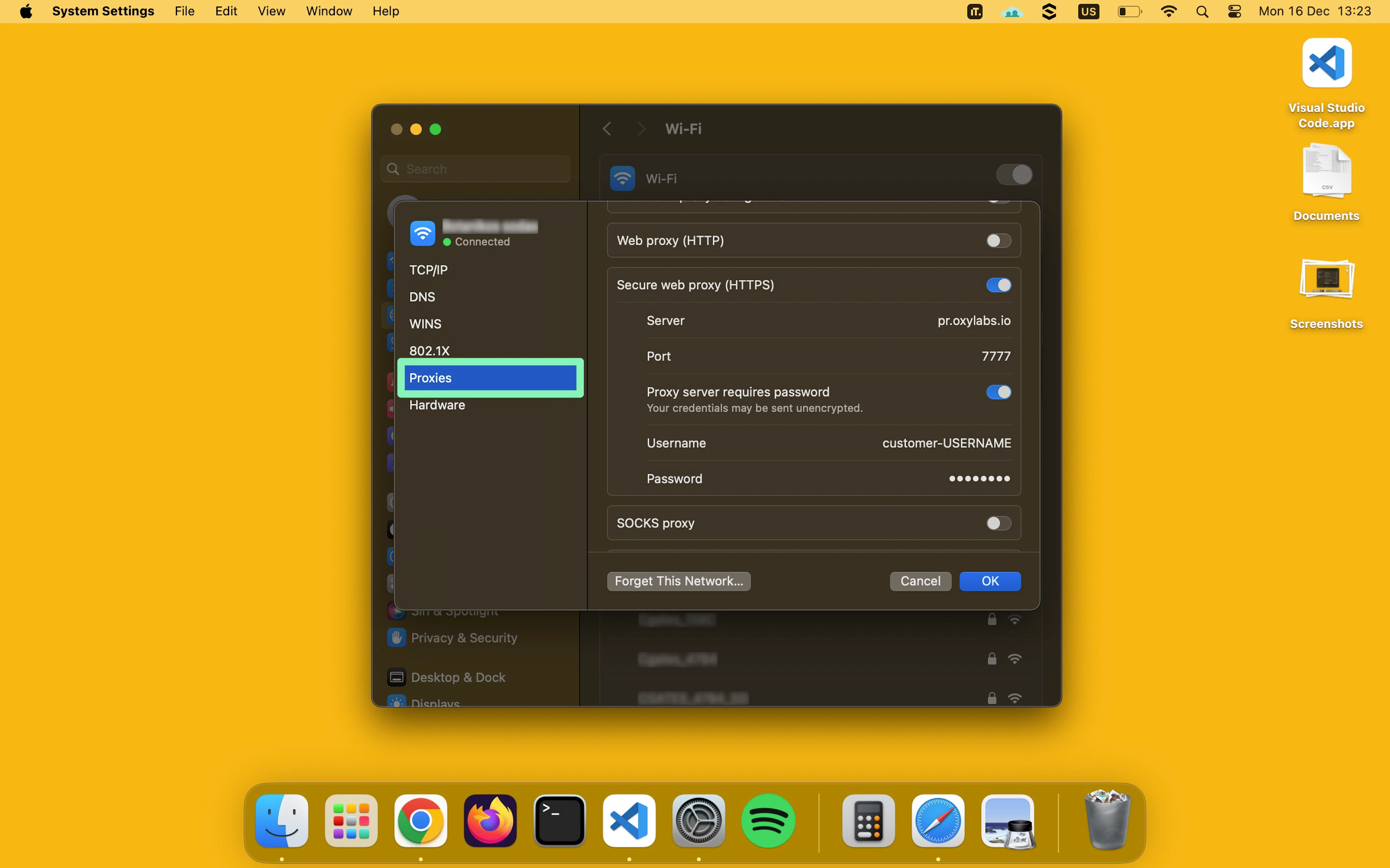 How to set up a proxy server for Mac 