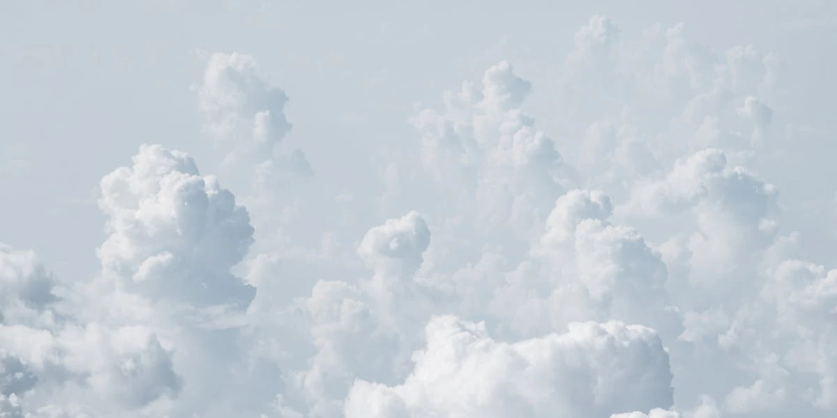 Scrapy Cloud: How to Use, Manage & Maximize Spider Execution