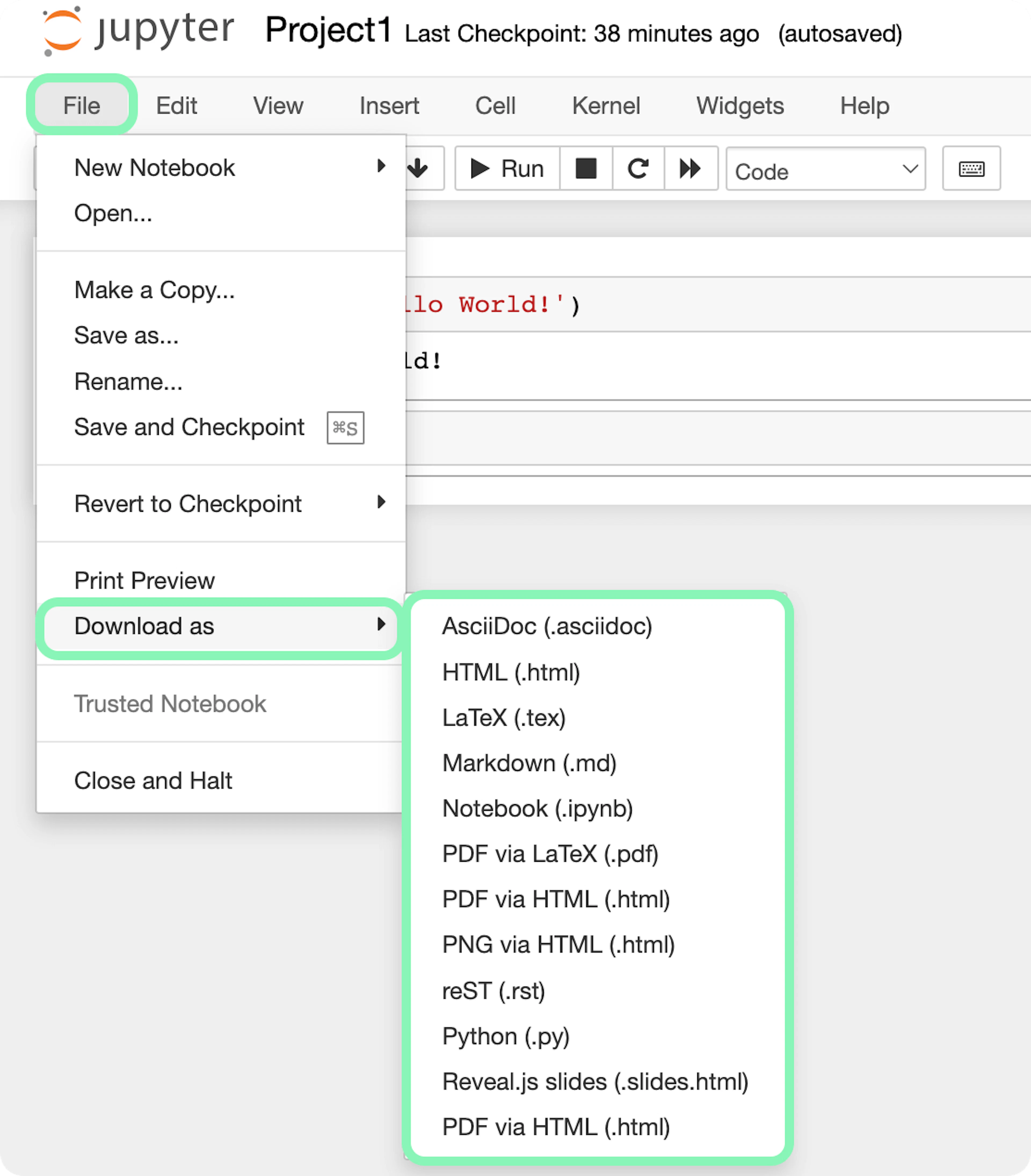 Downloading Jupyter Notebook files