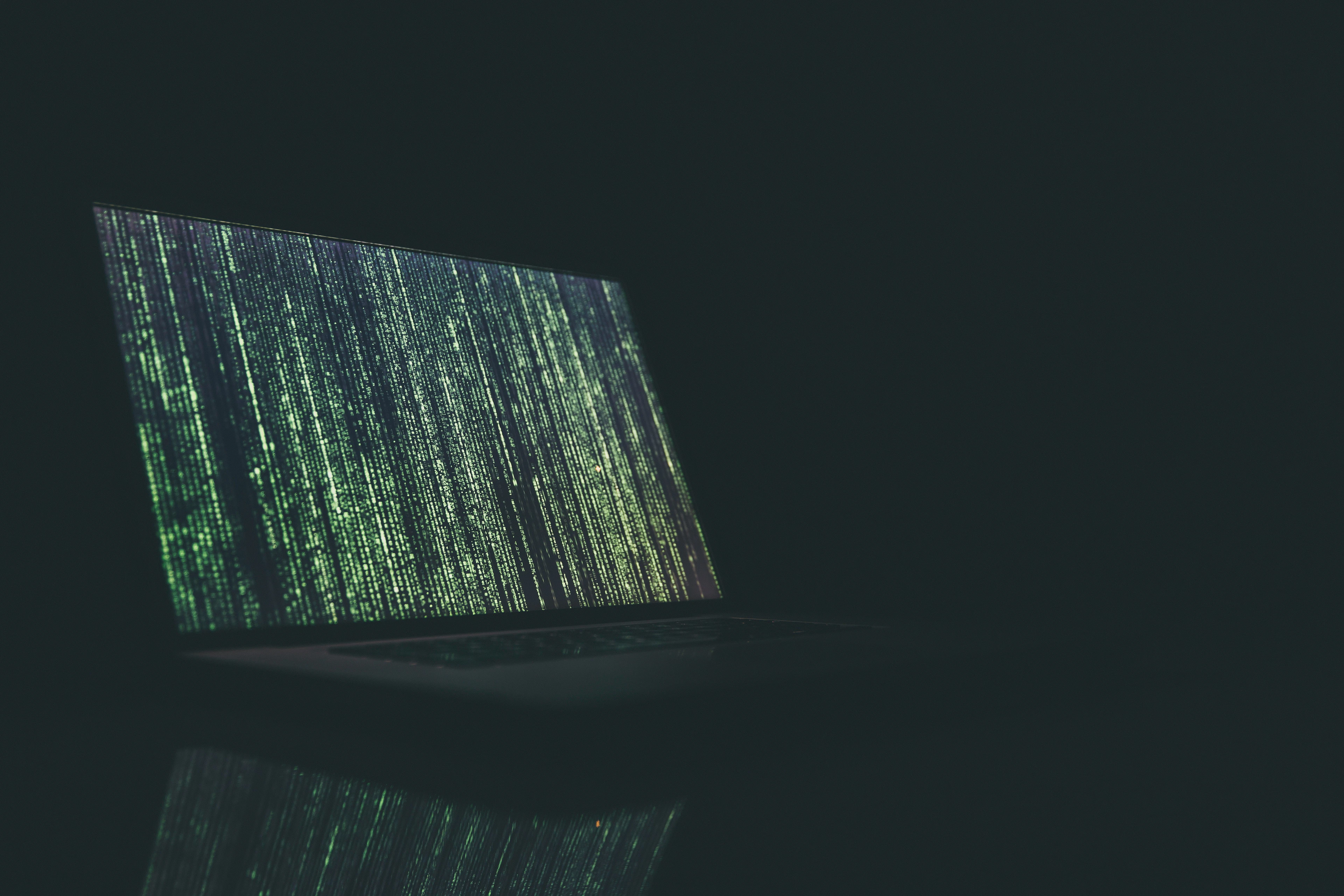 6 Best AI Data Providers