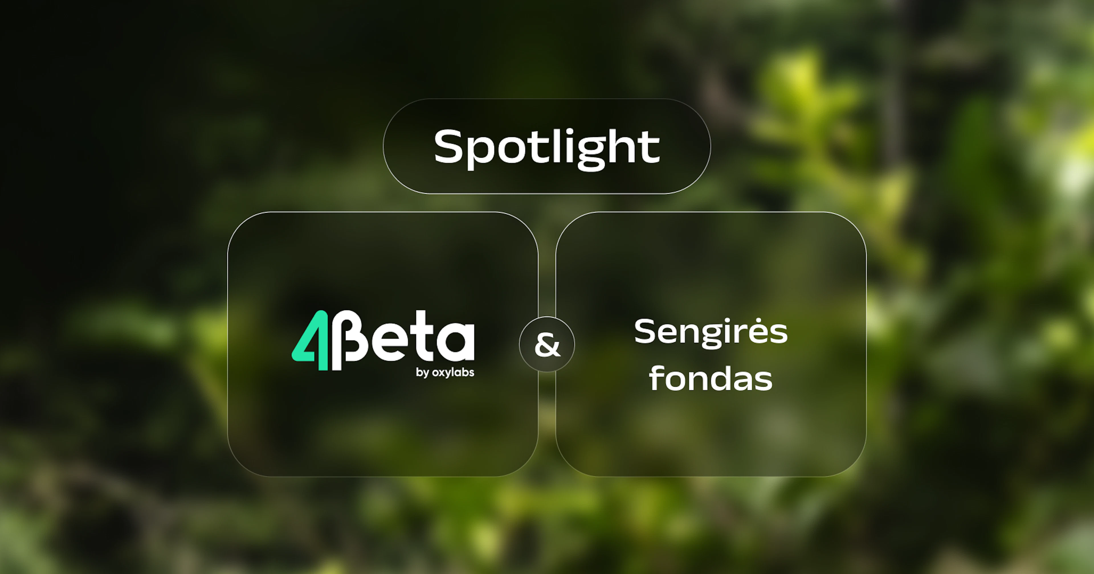 4beta+Sengirės Fondas