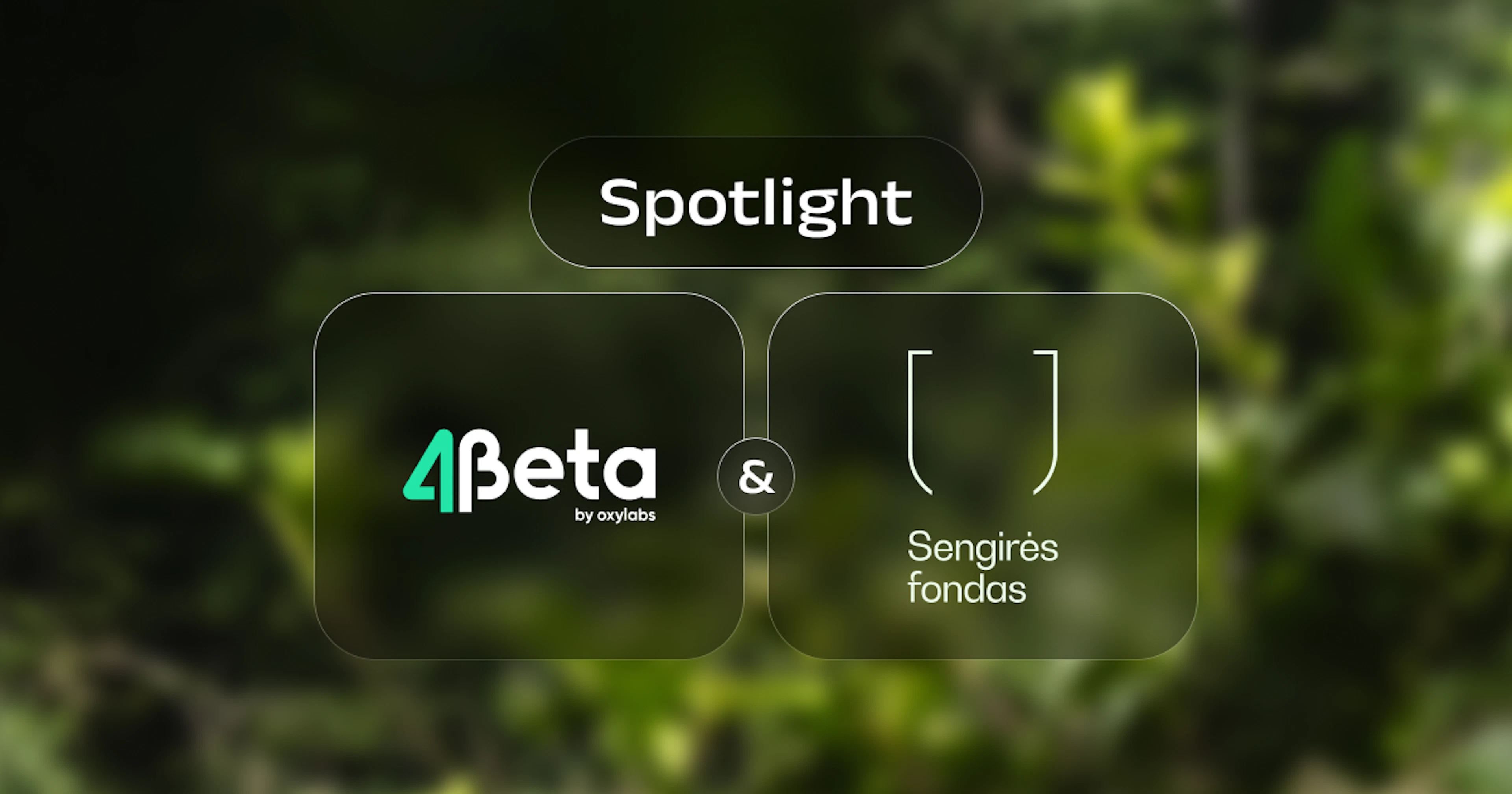 4beta-Spotlight-Sengires-fondas
